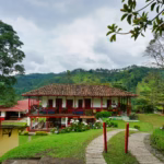 Historia de una infidelidad